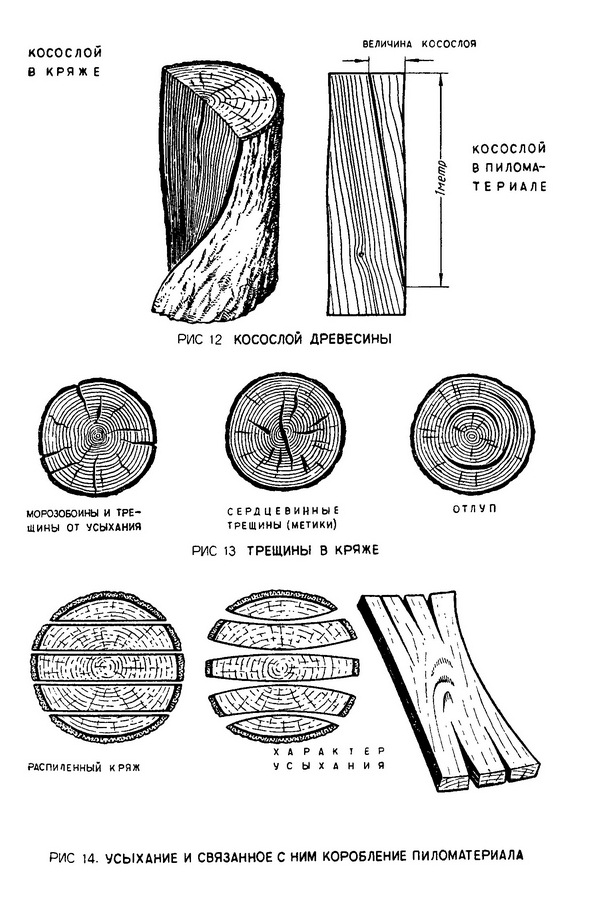 Пороки и дефекты древесины